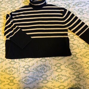 Striped Navy and White Turtleneck Sweater